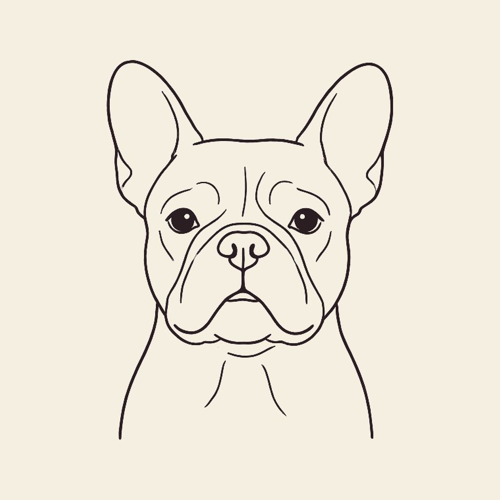 French bulldog