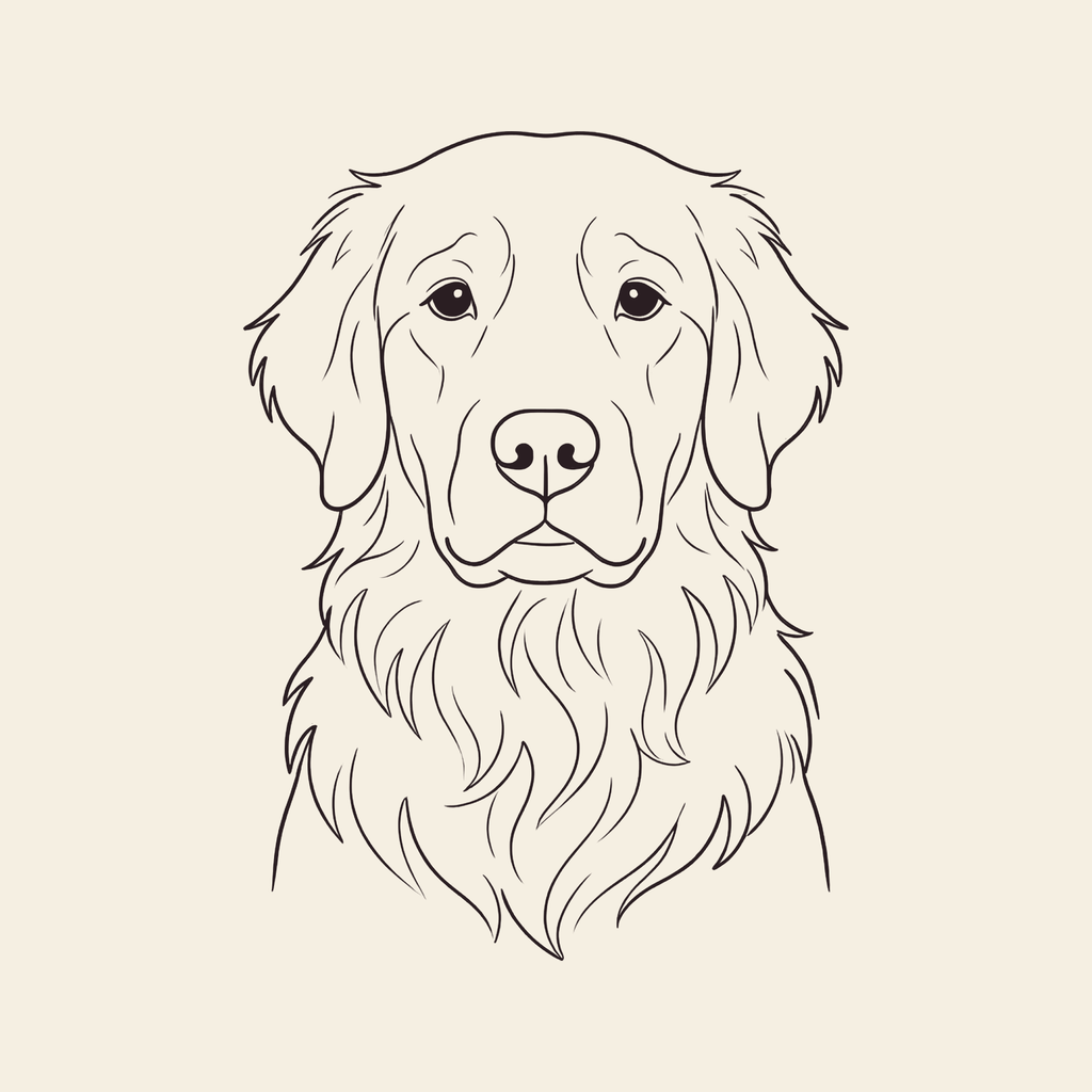 Golden retriever