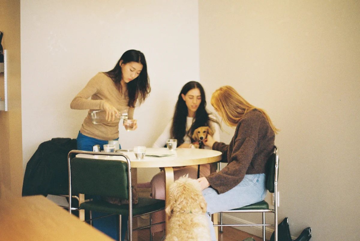 Three friends and two dogs around a café table