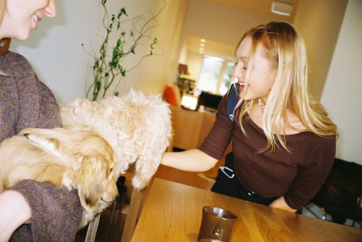 A woman laughing as two dogs greet each other across a café table